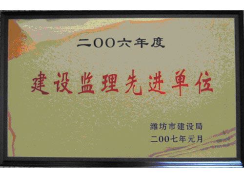 点击查看详细信息<br>标题：2006年度建设监理先进单位 阅读次数：4555